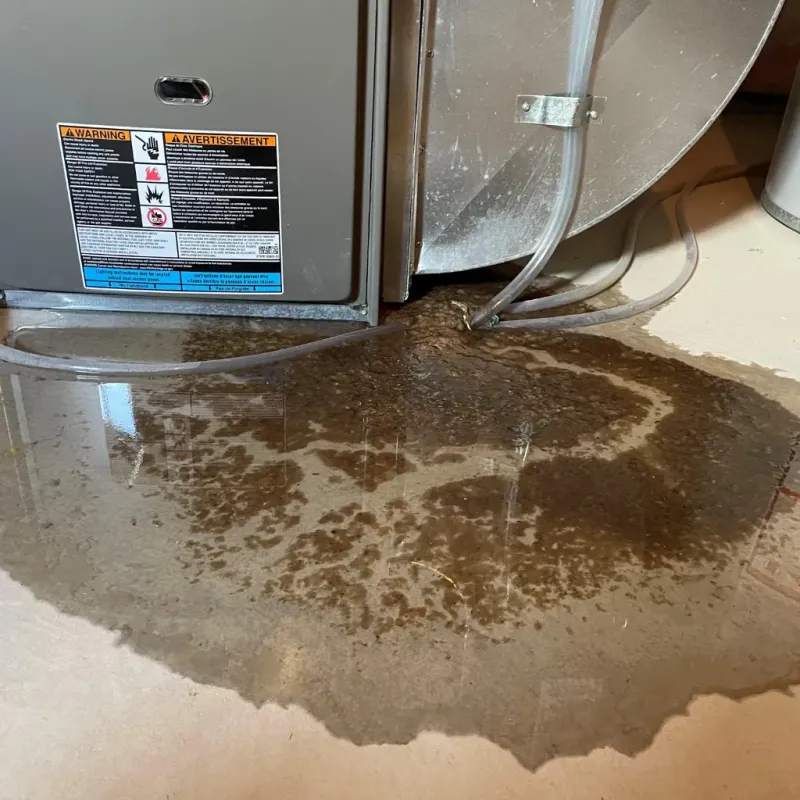 Appliance Leak Cleanup in Buxton, NC